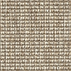 naturally unnatural cordgrass II Sedge - Oatmeal